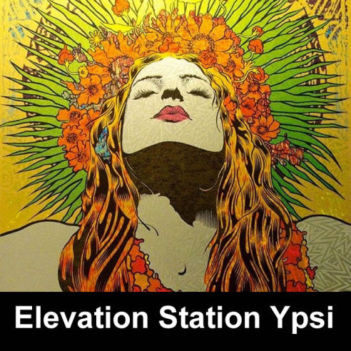 Elevation Station Ypsilanti